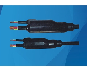 預分支電纜